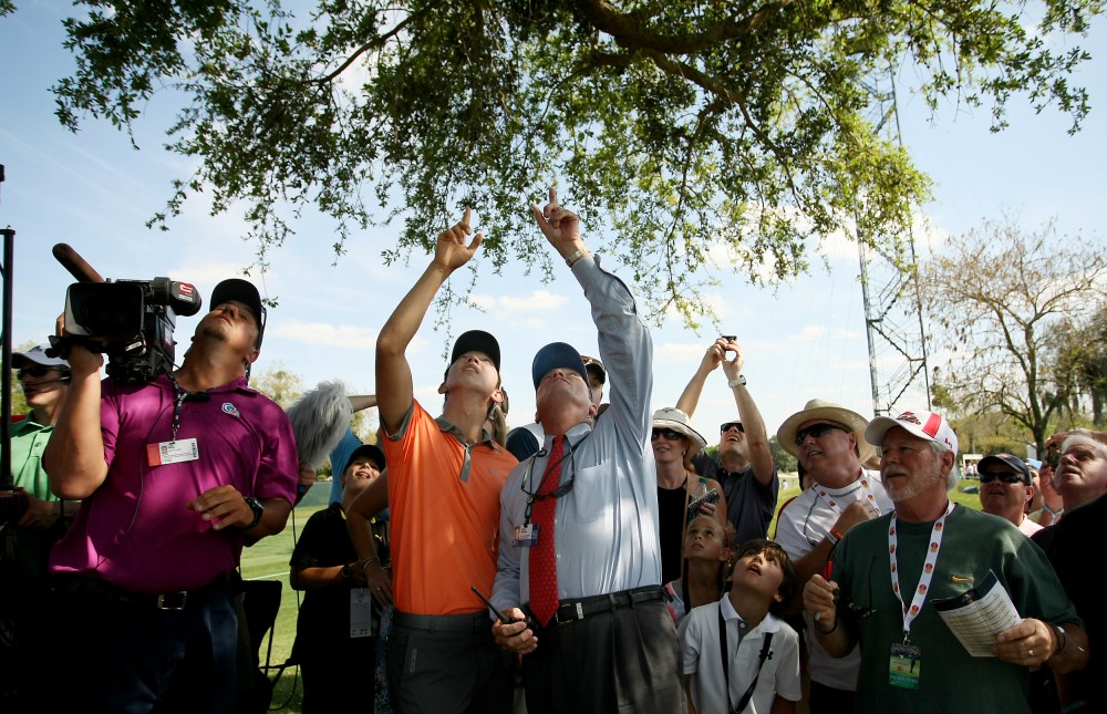 Seung-Yul Noh talks with rules official Steve Rintoul at No. 18 of Bay Hill Golf Club, where Noh's ball got stuck in a tree during the third round of the Arnold Palmer Invitational.