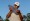 The Players Championship-2017 winner-Si Woo Kim