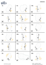 2018 British Open Pin Placements - Round 1 