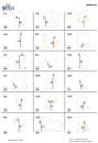 2018 Round 2 Pin Placements - British Open