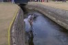 Sergio Garcia fired this shot out of the burn on No. 10 ... but landed in the bunker. He barely cleared the top of the wall (Golf Channel)