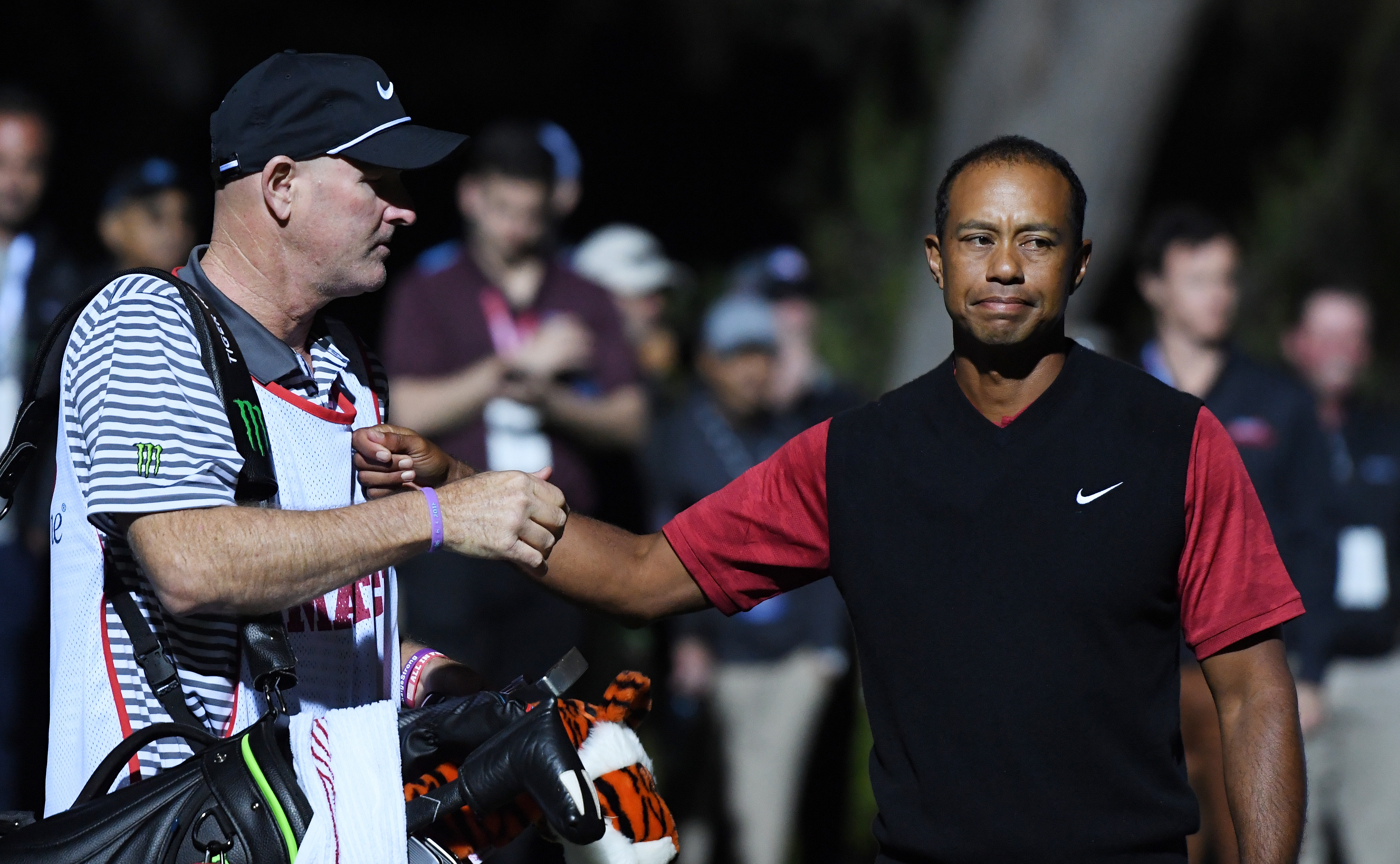 LAS VEGAS, NV - NOVEMBER 23: Tiger Woods and caddie Joe LaCava react after Woods lost to Phil Mickelson during The Match: Tiger vs Phil at Shadow Creek Golf Course on November 23, 2018 in Las Vegas, Nevada. (Photo by Harry How/Getty Images for The Match)