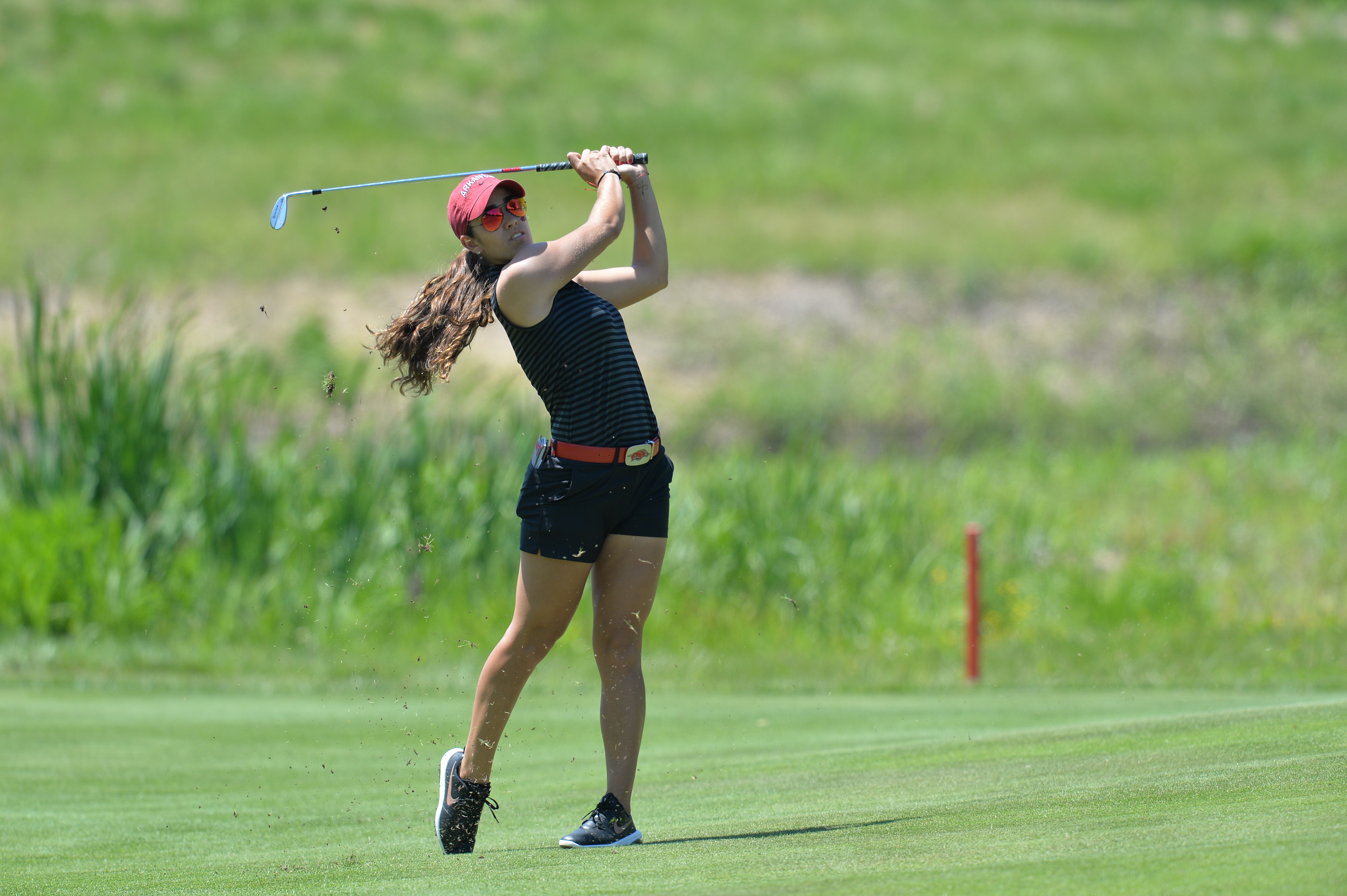 NCAA Women's Arkansas