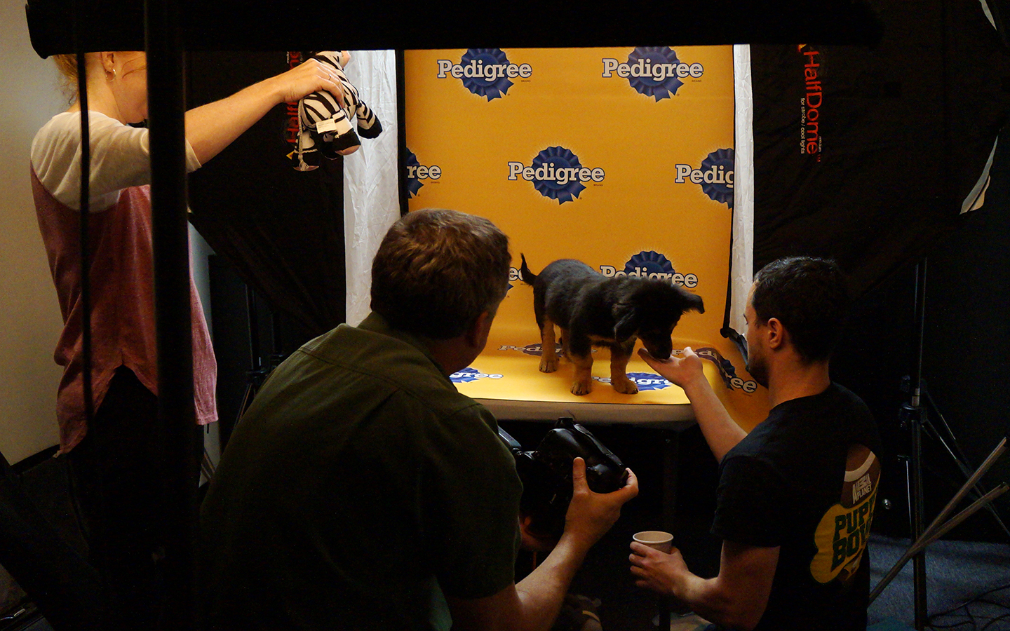 Ready for my close-up! (Rubie Edmondson,  USA TODAY Sports)