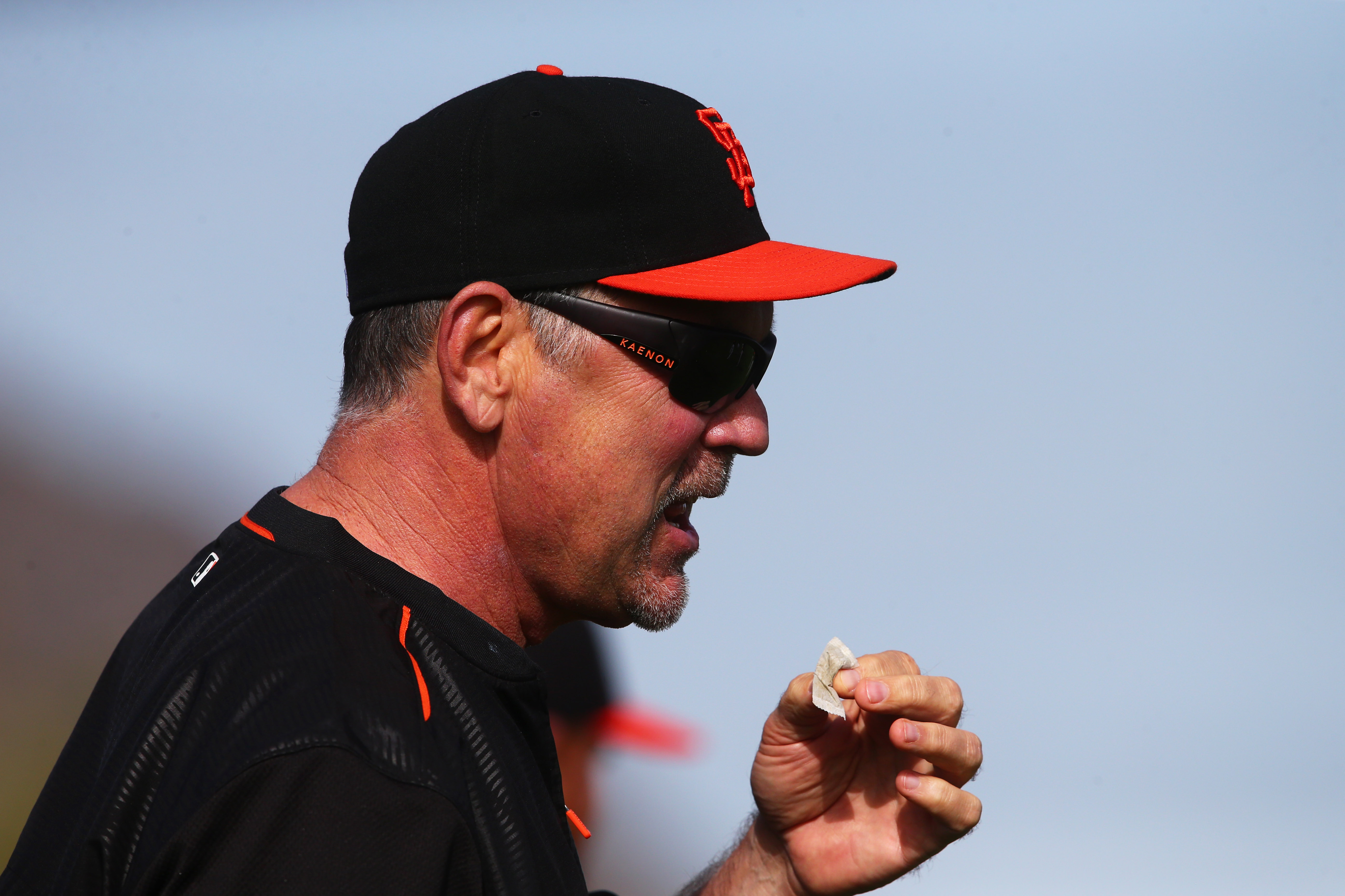 Giants manager Bruce Bochy (USA TODAY Sports Images)