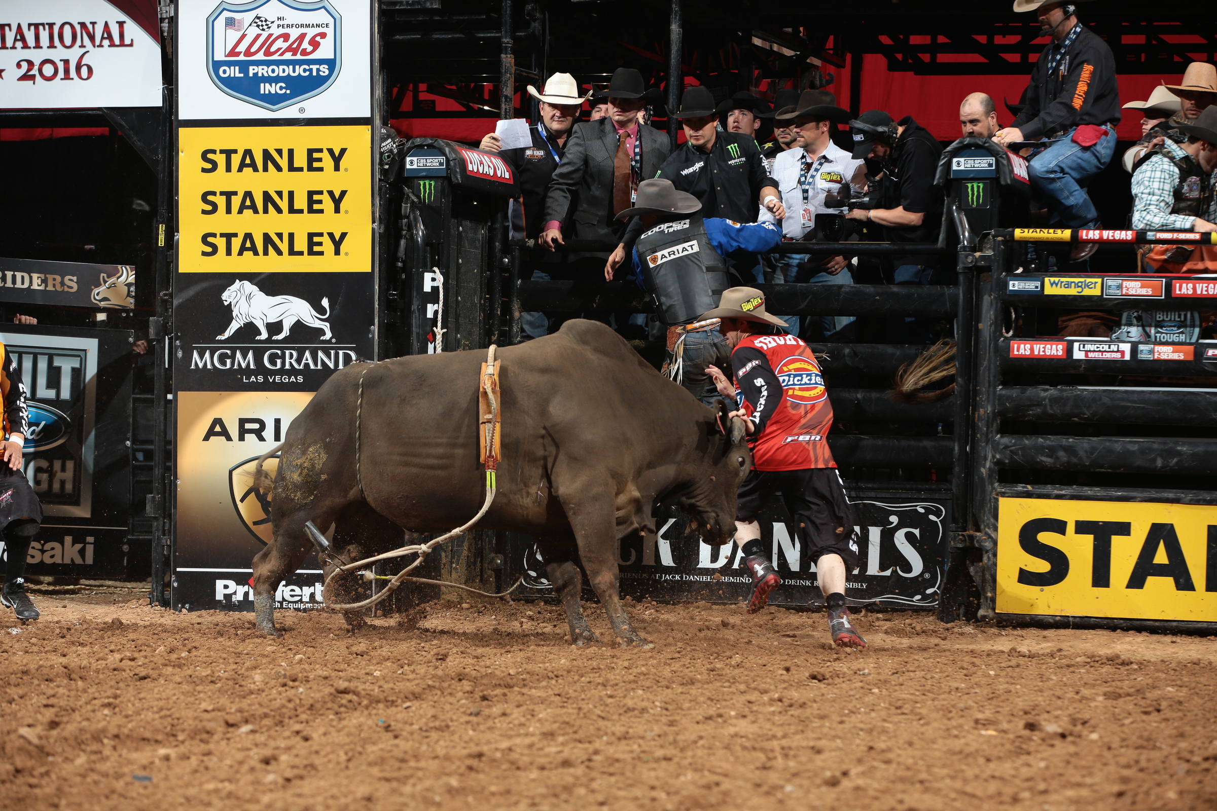Photo by Andy Watson / Bull Stock Media. 