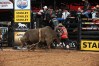 Photo by Andy Watson / Bull Stock Media. 