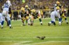 Benny Sieu-USA TODAY Sports 